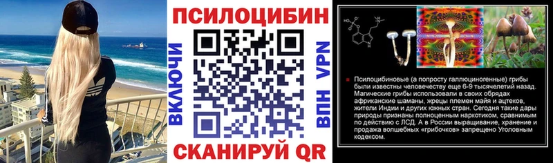 купить наркоту  Лениногорск  shop состав  Псилоцибиновые грибы мицелий 